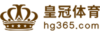 Logo 视讯